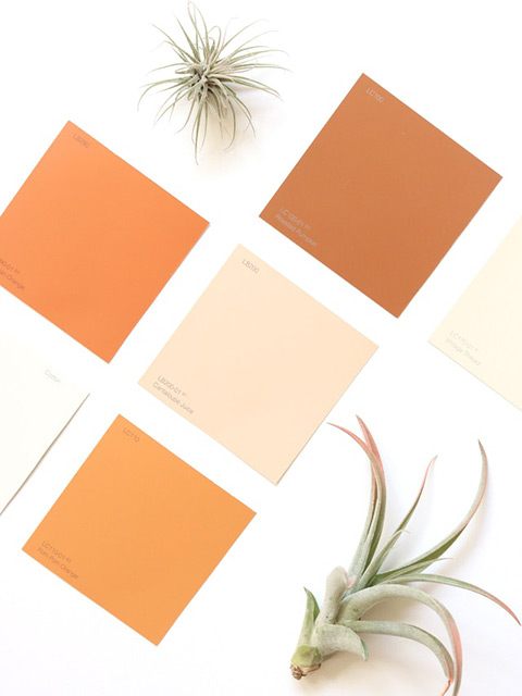 warm color swatches to match air plants