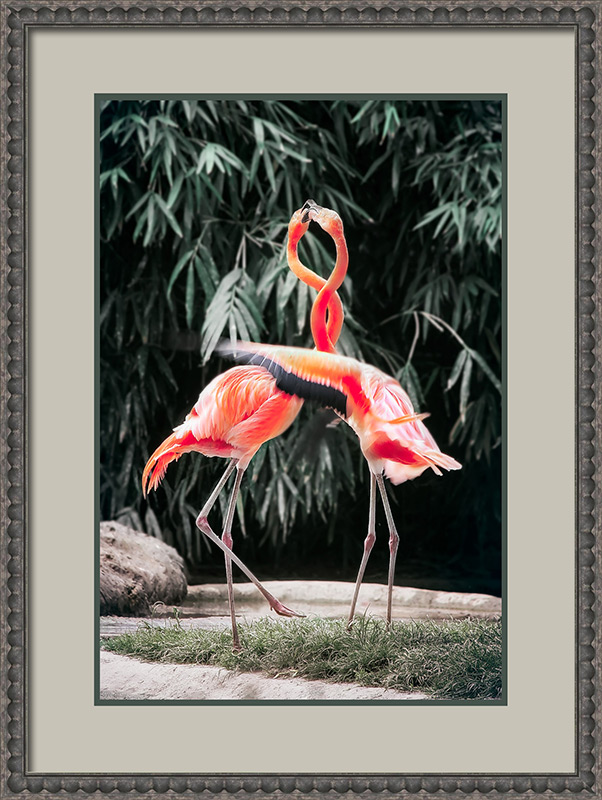 flamingo photo in gilded frame with mat