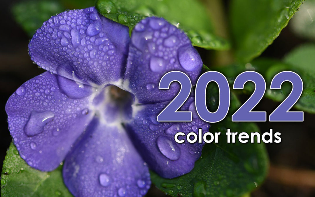 What are the color trends for 2022?