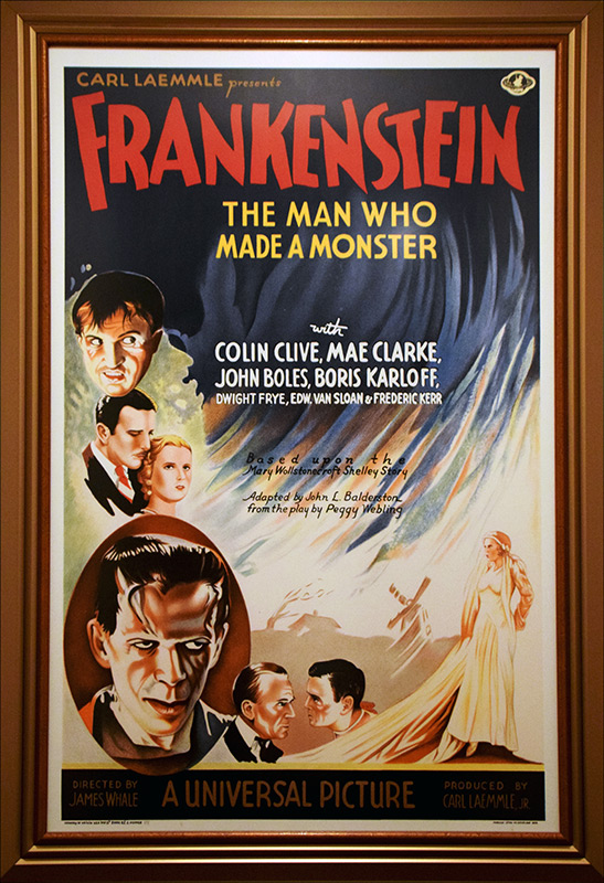 framed frankenstein poster