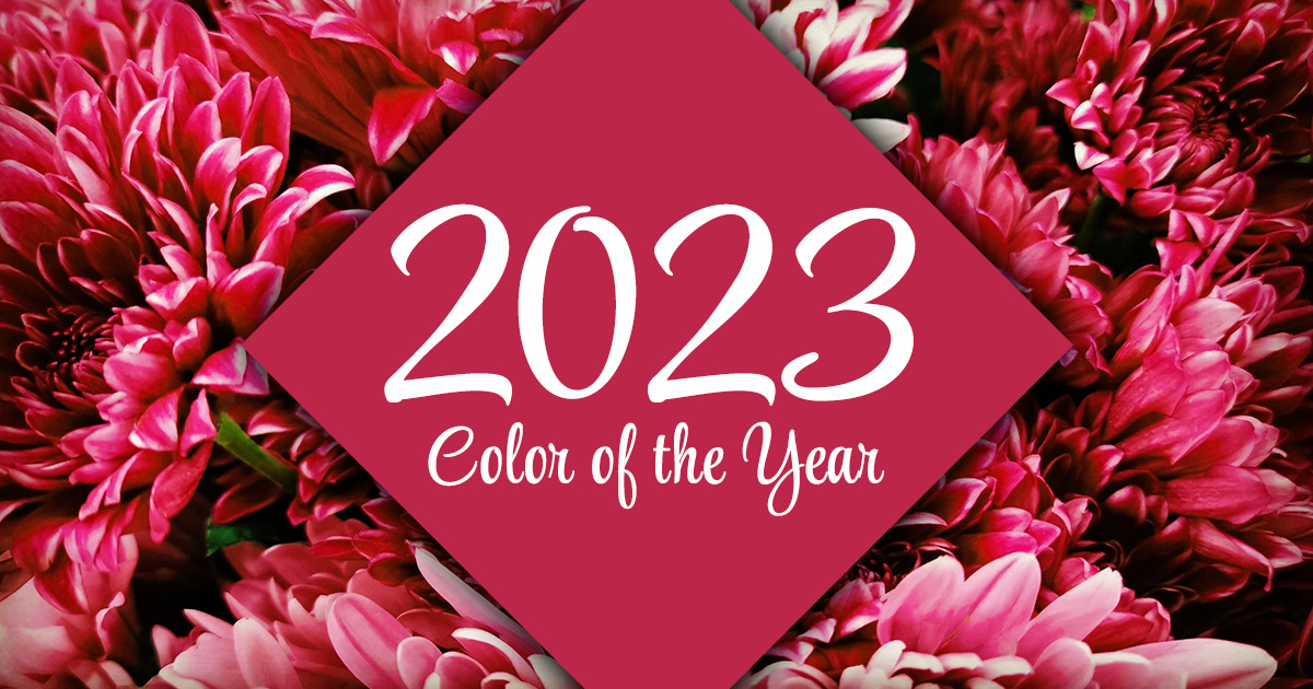 Magenta -- Pantone's 2023 color of the year