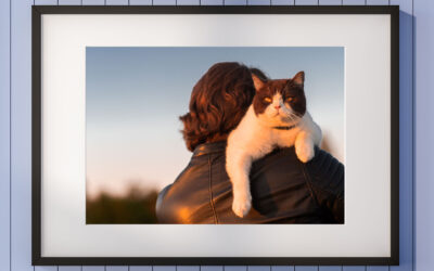 Pet photo: Frame your furry friend in style